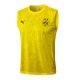 Debardeur Short Dortmund 2024 2025 Jaune - Image 2