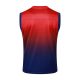 Debardeur Short PSG 2024 2025 Rouge Bleu - Image 3