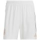 MAILLOT ENFANT ALLEMAGNE DOMICILE EURO 2024 QUALIFICATIONS - Image 4