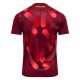 Maillot Allemagne Exterieur Euro 2025 Homme - Image 2