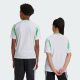 Maillot Enfant Algerie Domicile 2024 2025 - Image 5