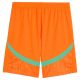 Maillot Kit Enfant Cote d??Ivoire Domicile 2024 2025 - Image 5