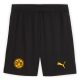 Maillot Kit Enfant Dortmund 2025 2026 Coupe - Image 4