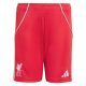 Maillot Kit Enfant Liverpool Domicile 2025 2026 Isak - Image 3