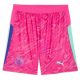 Maillot Kit Enfant Manchester City Domicile 2025 2026 Gardien Rose - Image 4