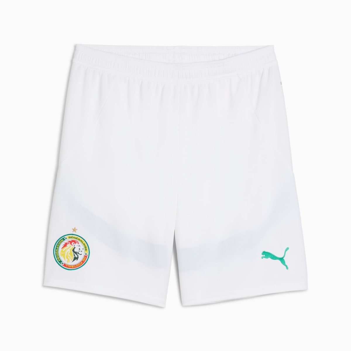 Maillot Kit Enfant Senegal Domicile 2024 2025 - Image 4