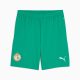 Maillot Kit Enfant Senegal Exterieur 2024 2025 - Image 4