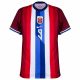 Maillot Norv??ge Domicile 2024 2025 Haaland - Image 3