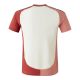 Maillot Kit Enfant OL Third 2024 2025 - Image 3