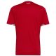 Maillot Pays de Galle Domicile 2026 2027 - Image 2