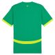 Maillot Match Senegal Exterieur 2024 2025 - Image 2