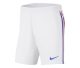 MAILLOT ENFANT EQUIPE DE FRANCE EXTERIEUR 2020 2021 - Image 5