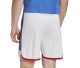 SHORT JAPON DOMICILE 2022 2023 - Image 3