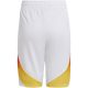 Short Allemagne Domicile 2024 2025 - Image 3