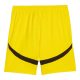 Short BVB Dortmund Exterieur 2024 2025 - Image 2