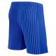 Short Equipe de France Exterieur 2024 2025 - Image 2