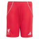 Maillot Kit Enfant Liverpool Domicile 2025 2026 - Image 4