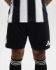 Short Newcastle Domicile 2025 2026