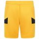 Maillot Kit Enfant Wolverhampton Domicile 2024 2025 Gold - Image 5