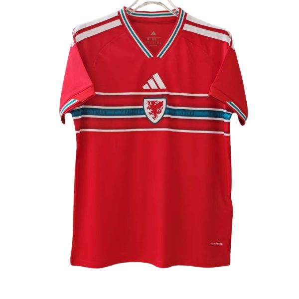 Wales Home  26-27
