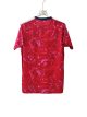 Costa Rica home match on 26-27 - Image 2